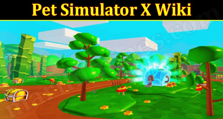 Pet Simulator X Wiki (Feb 2022) New Features And Pets!