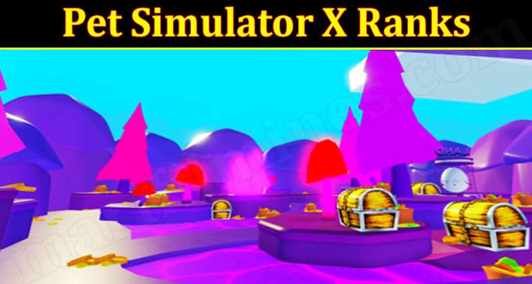 Pet Simulator X ranks and ranking system explained