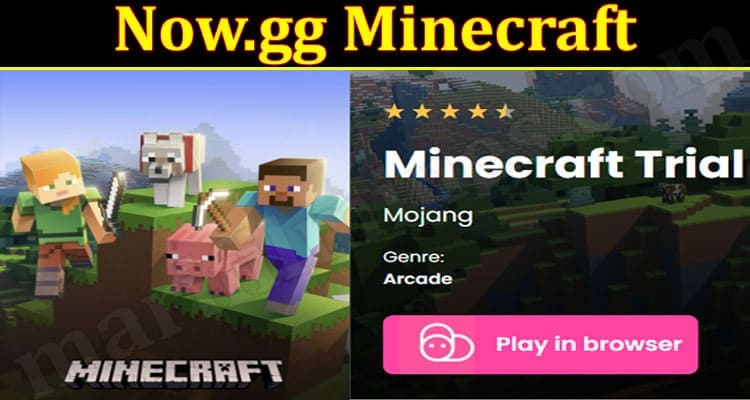 Como jogar Minecraft pelo Now.gg - Dluz Games