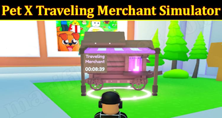 Roblox Secret Traveling Merchant Codes in Pet Simulator X
