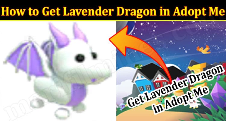 Me lavender dragon adopt What is