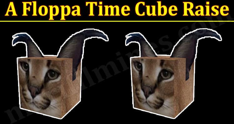Floppa Cube Follower  Roblox Item - Rolimon's