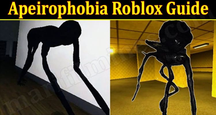 Advanced Camera - Apeirophobia Gamepasses Explained #roblox